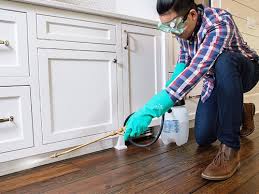 Best Real Estate Pest Inspections  in Huber Ridge, OH